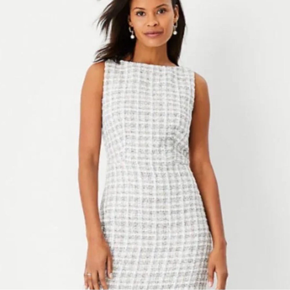 ANN TAYLOR dress.